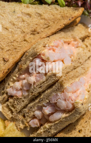 Sandwich à la crevette sur le pain brun Banque D'Images