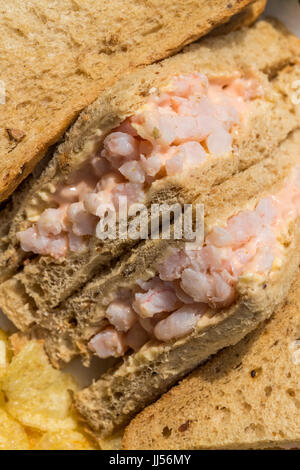Sandwich à la crevette sur le pain brun Banque D'Images