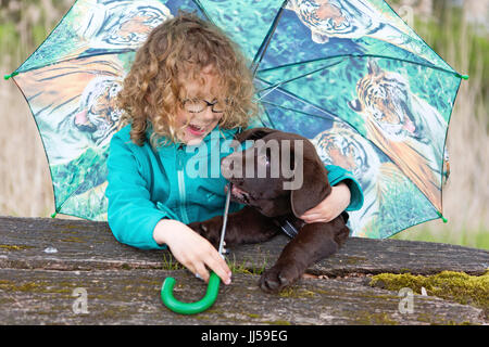 Labrador Retriever Scotty, 10 semaines chiot assis avec une petite fille sous un parapluie Banque D'Images