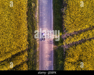 Vue de dessus de la personne d'un vélo sur la route dans les champs, vue aérienne Banque D'Images