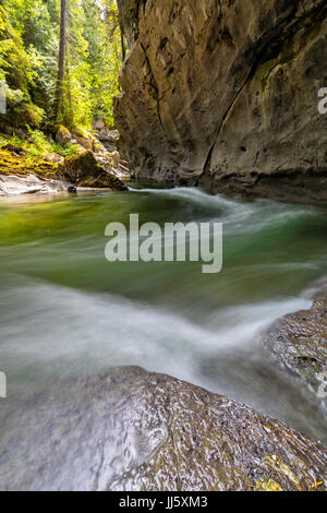 Atluck creek coupant à travers la création de calcaire en fonte huson pont naturel caverne dans peu d'huson grotte parc régional, nord de l'île de Vancouver, brit Banque D'Images