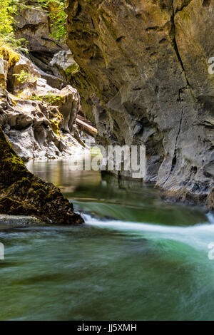 Atluck creek coupant à travers la création de calcaire en fonte huson pont naturel caverne dans peu d'huson grotte parc régional, nord de l'île de Vancouver, brit Banque D'Images