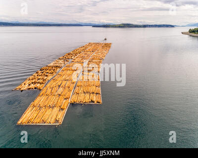 Remorqueur tractant une grande flotte de sciage au large du nord de l'île de Vancouver, à l'égard de l'île Cormorant, Alert Bay et le détroit de Johnstone, British Columbia, Ca Banque D'Images