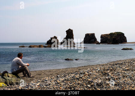 Un randonneur russe contemplant les formations rocheuses de Vélikan ou de Cap Velican également connu sous le nom de Cape Giant une réserve naturelle du côté sud-ouest de l'île russe de Sakhalin le long de la côte de la mer de ​​Okhotsk une mer marginale de l'ouest de l'océan Pacifique. District de Korsakovsky île de Sakhalin Russie Banque D'Images