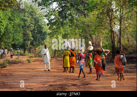 INDE Chhattisgarh, Bastar, les femmes gondes tribales venant du marché, marchant à pied dans la forêt, la région est sous pression des groupes terroristes maoïstes, appelés Naxalites Banque D'Images