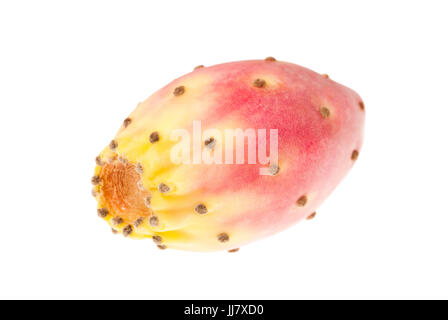 Prickly pear isolated on white Banque D'Images