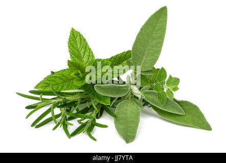 Herbes fraîches isolées sur fond blanc Banque D'Images