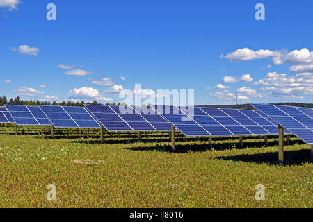 Des rangées de panneaux solaires Banque D'Images