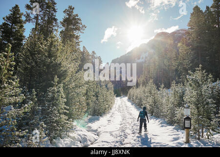 Un female hiker balades en forêt et montagne avec de la neige en hiver. Banque D'Images