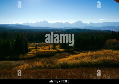 Au début de l'automne dans le Grand Teton National Park Banque D'Images