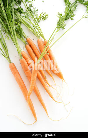 Les carottes d'été sur un fond blanc. Banque D'Images