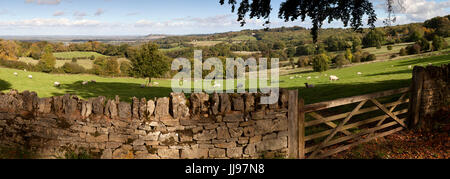 Vue sur paysage Cotswold et avec un mur de pierres sèches 5 bar gate, Saintbury, Cotswolds, Gloucestershire, Angleterre, Royaume-Uni, Europe Banque D'Images