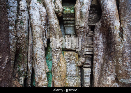 Détail de pierres sculptées et arbre-racine, cour intérieure, Ta Prohm, Angkor, Siem Reap, Cambodge Banque D'Images