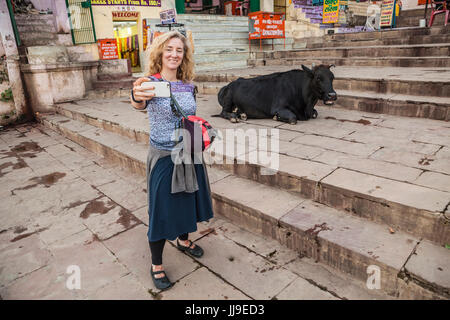 Une femme prise touristiques un téléphone cellulaire avec une vache selfies reposant sur l'escalier menant jusqu'à le Gange à Varanasi, Inde. Dashaswmedh Ghat Roa Banque D'Images