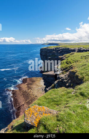 Falaises de l'Brough de Birsay regarder en arrière vers le continent, Orkney, Scotland, UK Banque D'Images