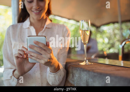 Smiling woman using mobile phone tout en ayant un verre de champagne dans le Banque D'Images