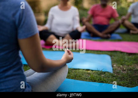 Image recadrée de trainer la médiation avec les cadres supérieurs, alors qu'assis sur des tapis d'entraînement au parc Banque D'Images