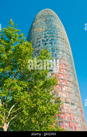 Gratte-ciel Torre Agbar moderne dans quartier Poblenou et arbre vert contre ciel bleu clair, Barcelone, Catalogne, Espagne Banque D'Images