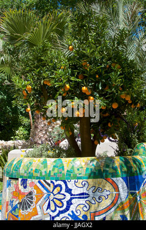 La plantation de la Méditerranée d'agrumes et palmiers dans le jardin d'Inspiration Viking Cruises à RHS Chelsea Flower Show 2017 Banque D'Images