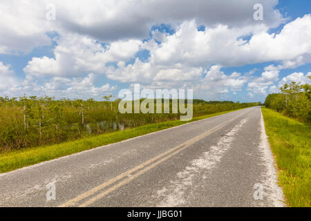 Chemin principal du parc State Route 9336 de l'Homestead Entrée de Flamigo dans le parc national des Everglades en Floride Banque D'Images