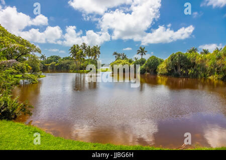 Fairchild Tropical Botanic Garden un jardin botanique tropical de 83 acres à Coral Gables en Floride Banque D'Images