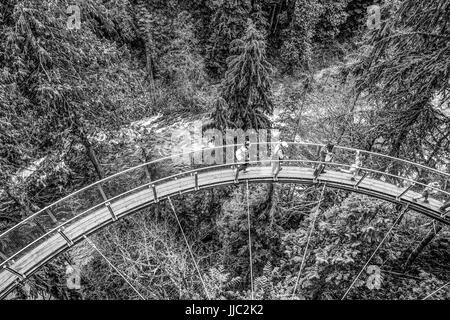 Merveilleux parc Capilano Suspension Bridge au Canada - CAPILANO - Canada - 12 AVRIL 2017 Banque D'Images