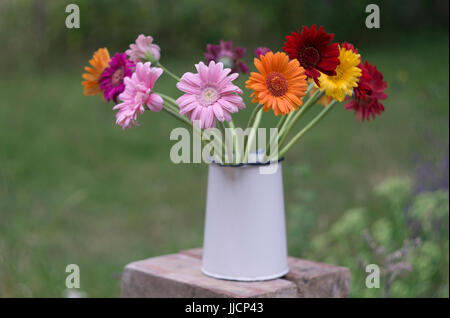 Les fleurs coupées en pot blanc Banque D'Images