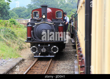 Train à vapeur sur le chemin de fer Ffestiniog, Gwynedd, au nord ouest du pays de Galles, Royaume-Uni Banque D'Images