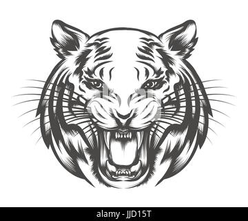 Tête de tigre rugissant dessiné dans le style de tatouage isolé sur blanc. Vector illustration Illustration de Vecteur