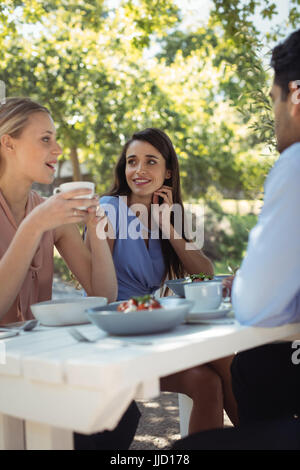 Groupe d'amis en train de déjeuner dans un restaurant. Banque D'Images