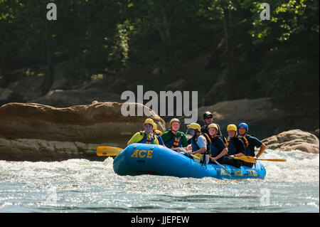 Le but de la flèche scouts faire à travers un rapides sur la New River, au cours d'une aventure en eau vive dans la New River Gorge, près de Fayetteville, en dehors du sommet Bechtel Réserver (SBR), WV. Le côté droit du radeau, l'avant à l'arrière - Jimmy Register, Billy Meyers, vidéaste, Chris Gower. Face cachée de radeau, l'avant à l'arrière -Ben Oswald, Michael McPherson, Tyler Ray (radeau et guide à l'arrière). L'OA scouts participent à un programme de service et de l'aventure à SBR. Banque D'Images