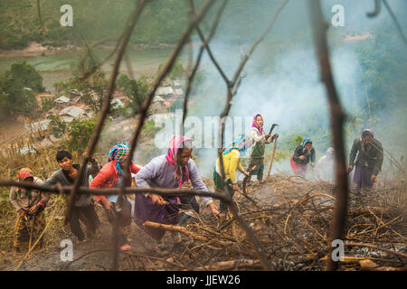 Femme coupent et brûlent la colline au-dessus de Muang Va, Laos pour effacer de l'espace pour un site de réinstallation temporaire pour leurs maisons. La ville sera complètement inondé par le barrage de la rivière Nam Ou # 6 et le gouvernement a fourni près de réinstallation Hat sa ne sera pas achevée à temps. Banque D'Images