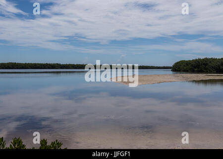 Paysage, J.N. ''Ding'' Darling National Wildlife Refuge, Sanibel Island, Floride, USA Banque D'Images