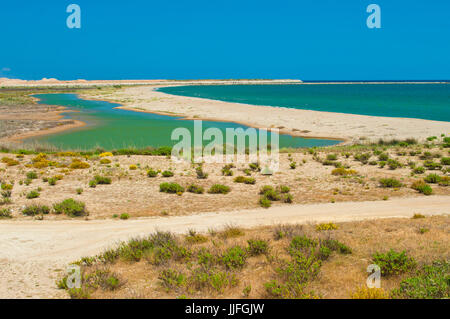 Avis de Llobregat Delta de la rivière et mer Méditerranée plage sur journée ensoleillée à El Prat, Barcelone, Catalogne, Espagne Banque D'Images