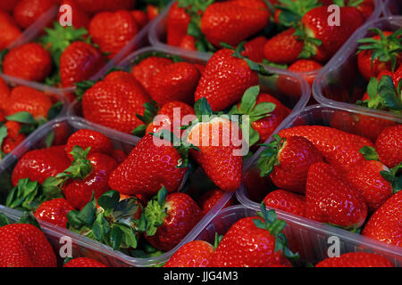 Close up de fraises mûres rouges frais dans des boîtes contenant de plastique transparent sur le marché de détail Affichage, high angle view Banque D'Images