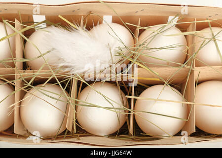 Frais de la ferme de 10 oeufs de poule de caisses en bois en boîte avec du foin et plume sur fond blanc, augmentation de la vue supérieure, juste au-dessus Banque D'Images