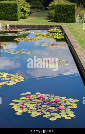 Bassin aux nymphéas in Waterperry Gardens, près de Oxford, Oxfordshire, Angleterre Banque D'Images