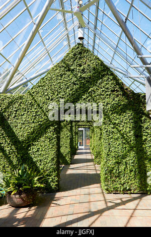 Minneapolis, USA - Le 11 avril 2012 : Minneapolis Sculpture Garden Conservatory Banque D'Images