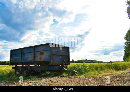 Rusty ancien bleu remorque agricole assis dans un champ de blé avant la récolte Banque D'Images