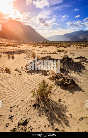 Dunes de sable dans la vallée de Nubra au Ladakh, au Cachemire, en Inde Banque D'Images