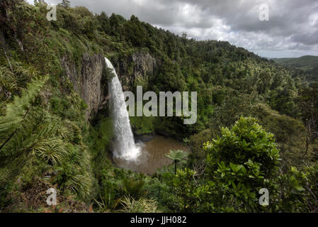 Waireinga, chutes Bridal Veil Falls, Raglan, Nouvelle-Zélande Banque D'Images