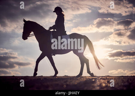 A cheval sur la plage au coucher du soleil. Banque D'Images