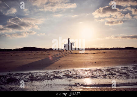 A cheval sur la plage au coucher du soleil. Banque D'Images