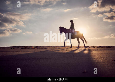 A cheval sur la plage au coucher du soleil. Banque D'Images