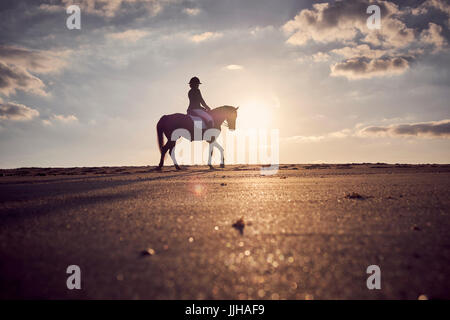 A cheval sur la plage au coucher du soleil. Banque D'Images