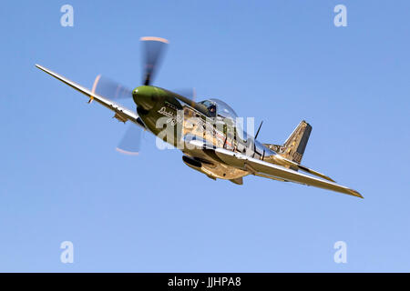 P-51D Mustang 44-63807 (N20MS) 'Daddy's Girl' en vol au dessus de Nevada County Airport. Banque D'Images