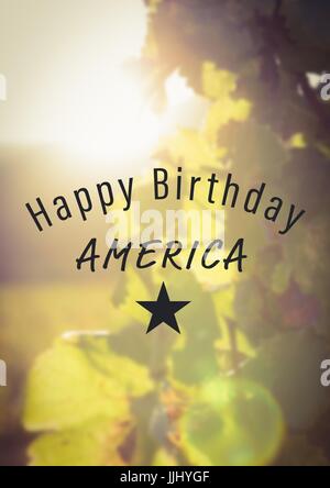 Quatrième de juillet gris contre graphique feuilles floue à l'aide de fusées éclairantes Banque D'Images