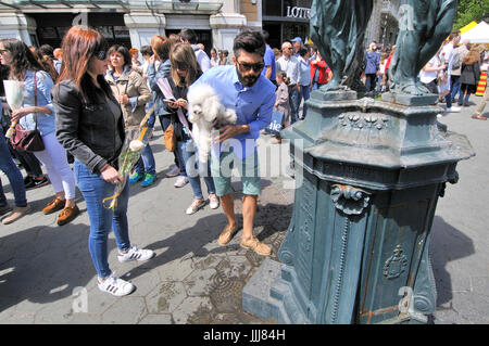 Fontaine Wallace. Passeig de Gracia. Barcelona Banque D'Images