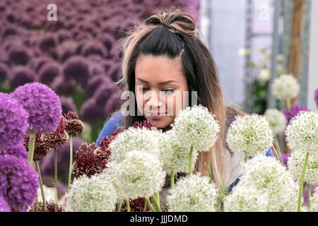 Tatton Park RHS Flower Show, Knutsford, Cheshire. 20 juillet 2017. Deux jours de cette années lors de la masterclass floral Royal Horticultural Society's Flower Show 2017 Tatton Park. Keen jardiniers peuvent s'immerger dans la beauté, le parfum et la couleur du rectangle de Floral & Plant Village. Un nouvel ajout à la jardins spectaculaires à l'écran est le Dôme 'Butterfly' où vous pourrez vous promener dans le paradis tropical rempli de papillons exotiques. Credit : Cernan Elias/Alamy Live News Banque D'Images