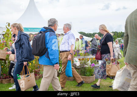 Knutsford, Cheshire. 20 juillet, 2017. Visiteurs et exposants à la RHS Flower Show tenu à Tatton Park. La "garden party du nord", a commencé en 1999 par la Royal Horticultural Society est en cours à Tatton Park aujourd'hui comme le RHS Flower Show ouvre son spectacle floral au grand public. /AlamyLiveNews MediaWorldImages ; crédit. Banque D'Images